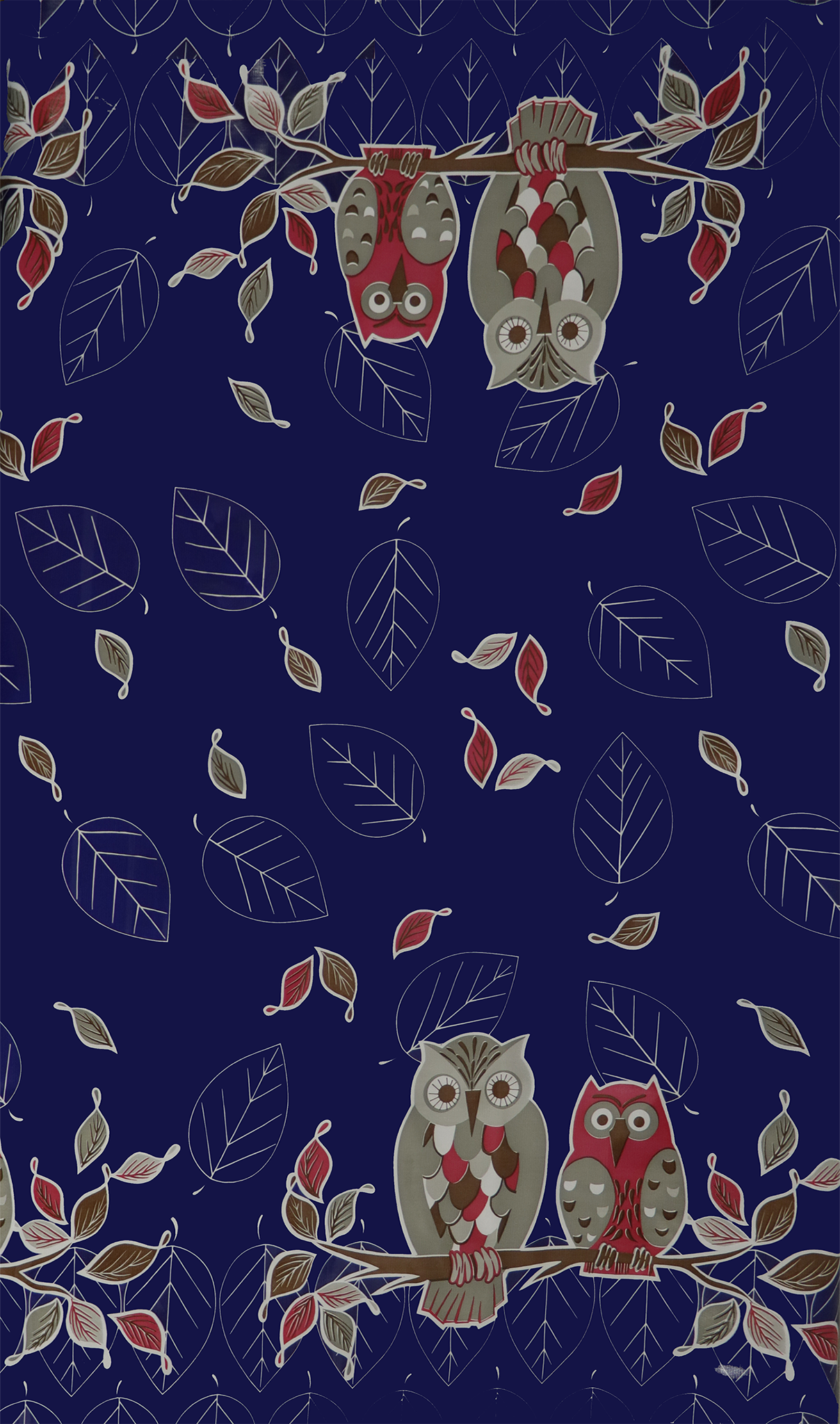 New Owls Print!