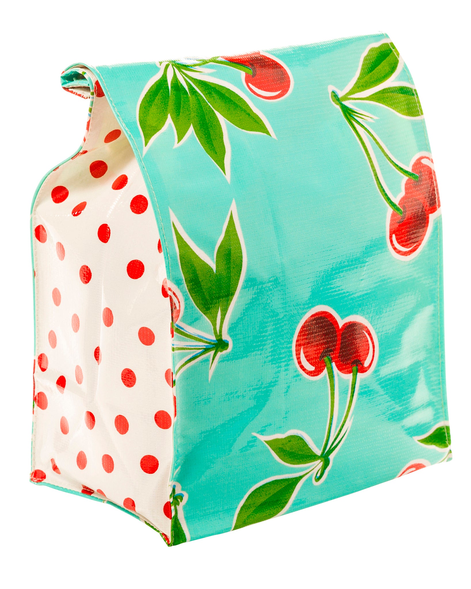 Freckled Sage Lunch Bag Kit Cherry on Aqua